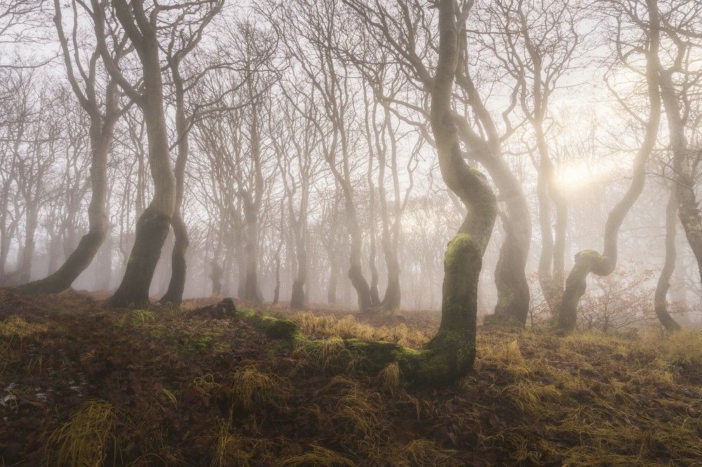 Photograph by Petr Hodinář