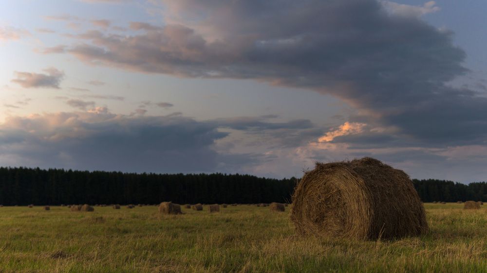 Photograph by Виталий Богачев