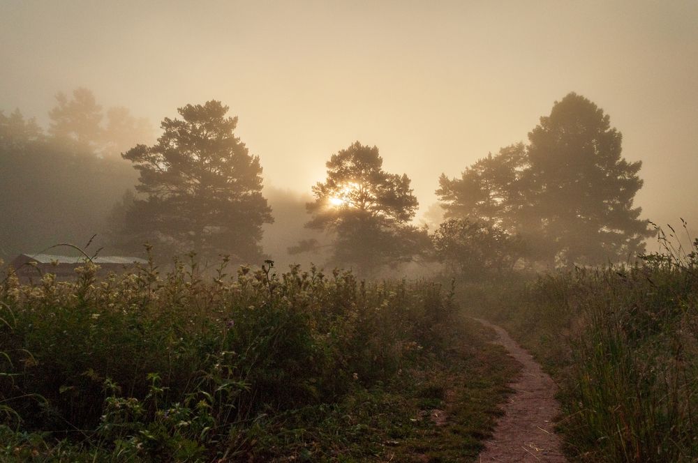 Photograph by Денис Кичев