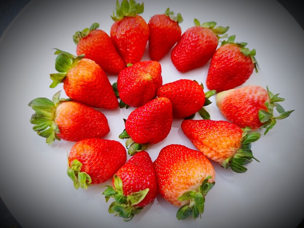 Photograph by VALDEZ JONATHAN