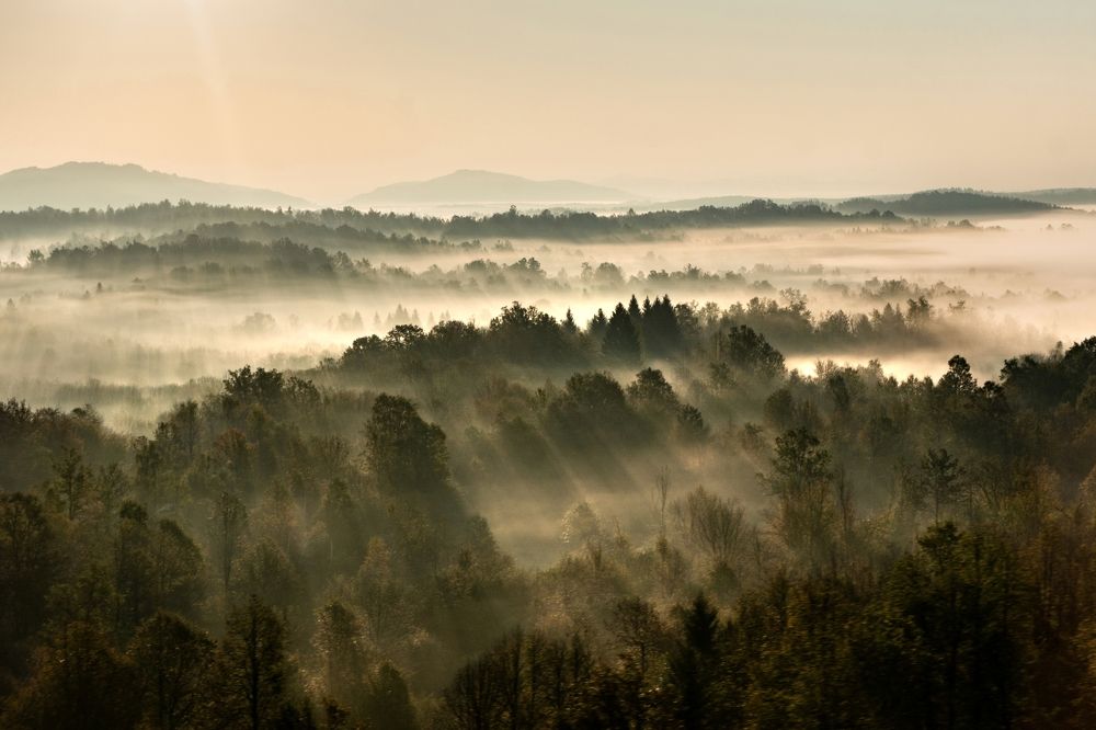 Photograph by Gordana Kvajo