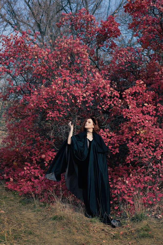 Photograph by Елена Курганская