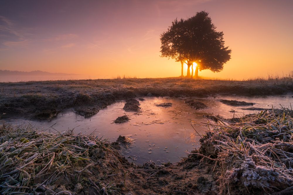 Foggy morning in Podhale
