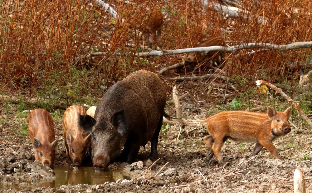 Photograph by Юлия Черкасова