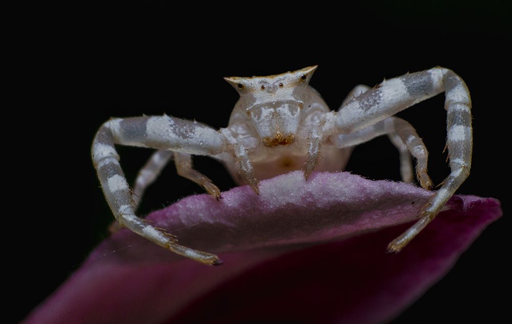 Фотография автора Sasindu Pramuditha