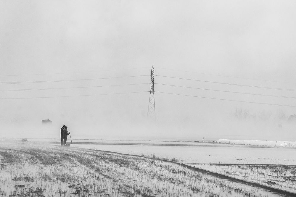 Photograph by javad parast
