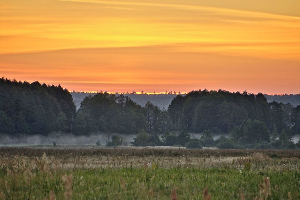 Photograph by Игорь Пахоруков