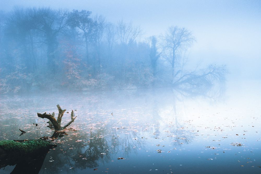 Photograph by Katja Sen