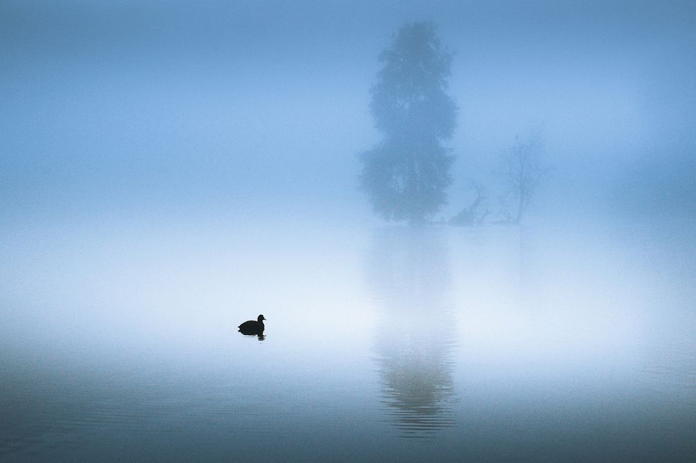 Photograph by Katja Sen