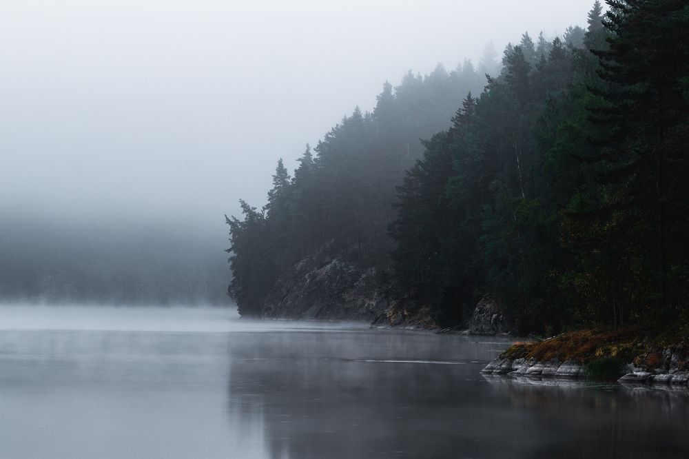 Photograph by Александр Михеев