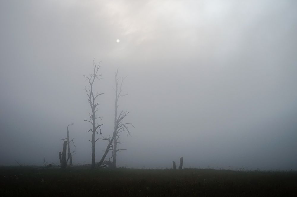 Photograph by Андрей Черкасов