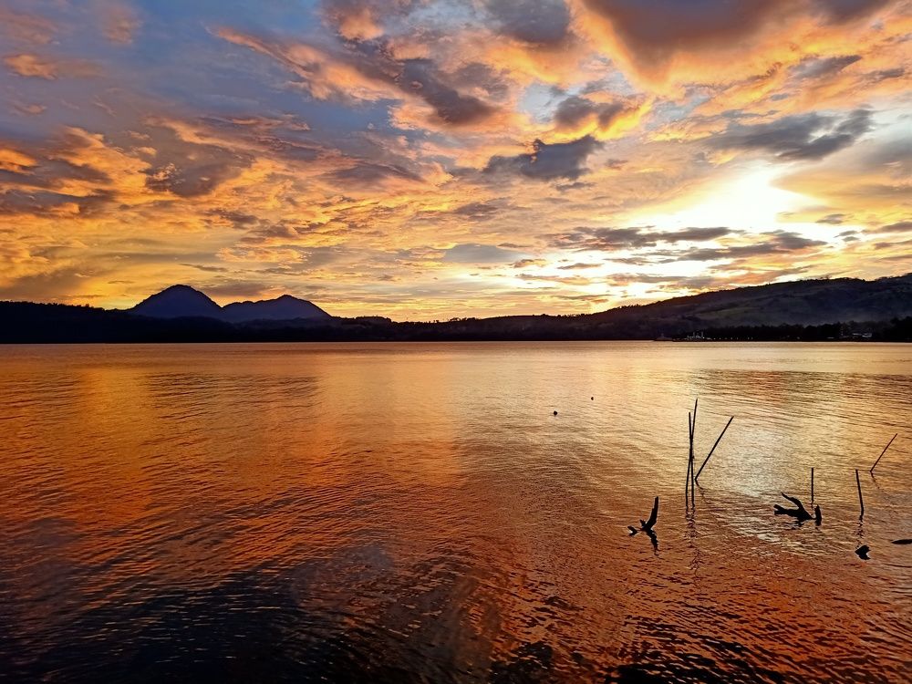 Photo #6760387