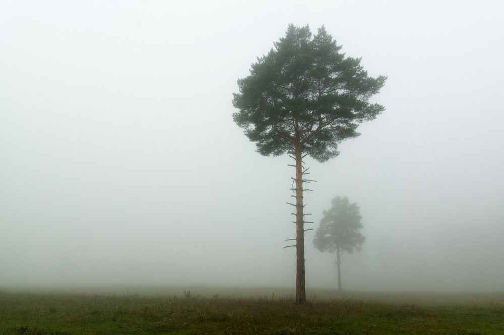 Photograph by Андрей Черкасов