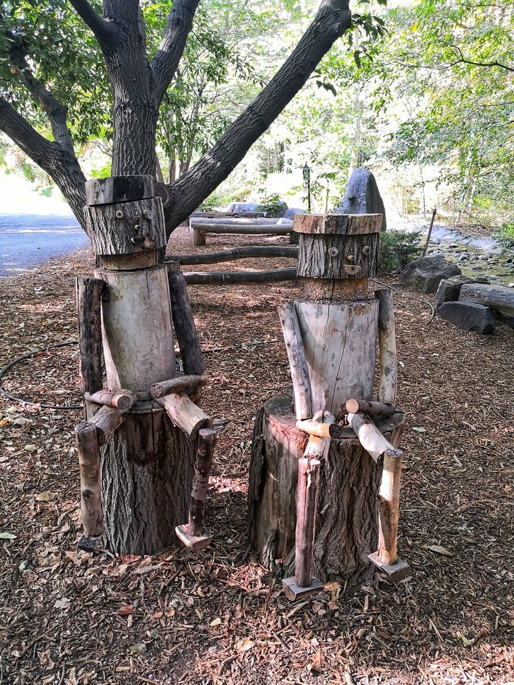 Фотография автора Zahra Seyedmorti