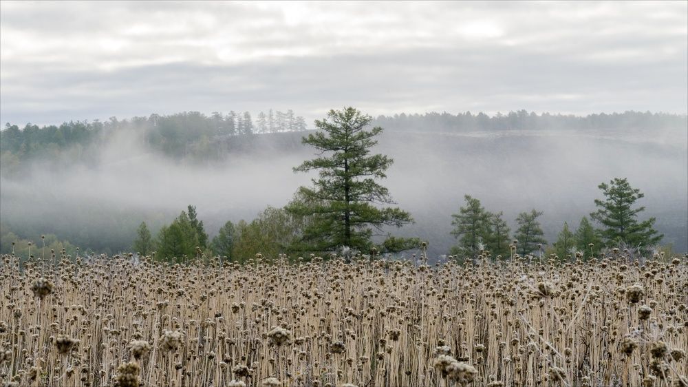 Photograph by Андрей Черкасов