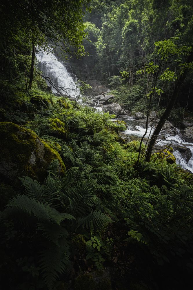 Photograph by Mattia Maniezzo