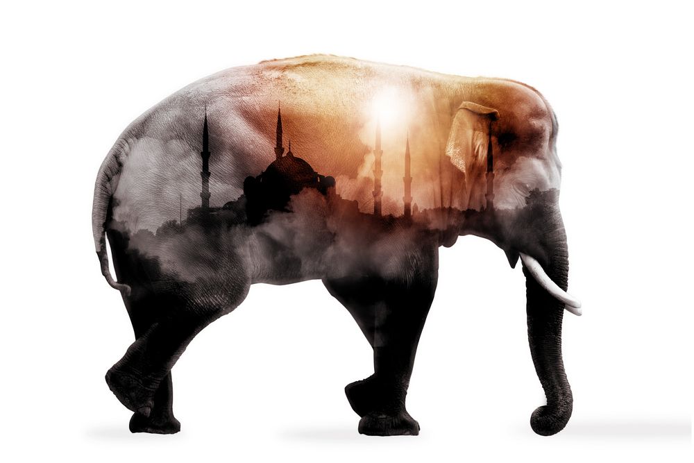 Photograph by Анна Айбетова