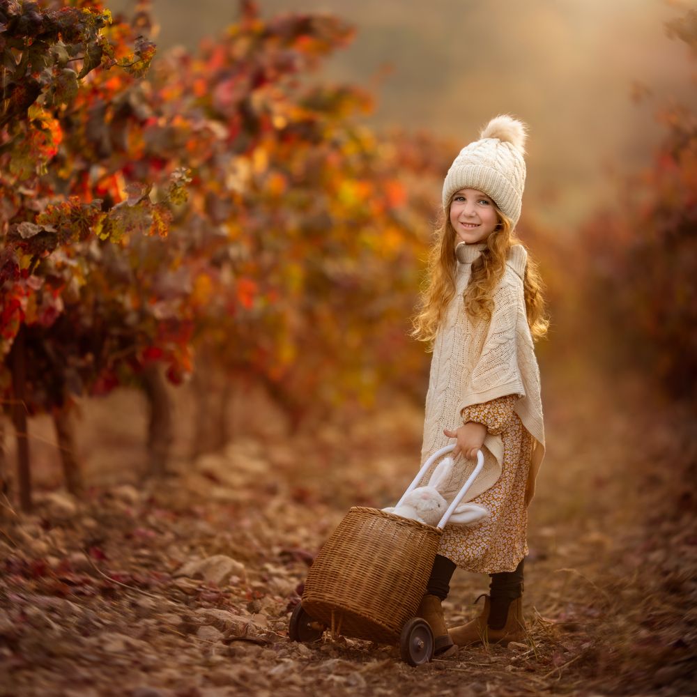 Photograph by Hamutal Avioz