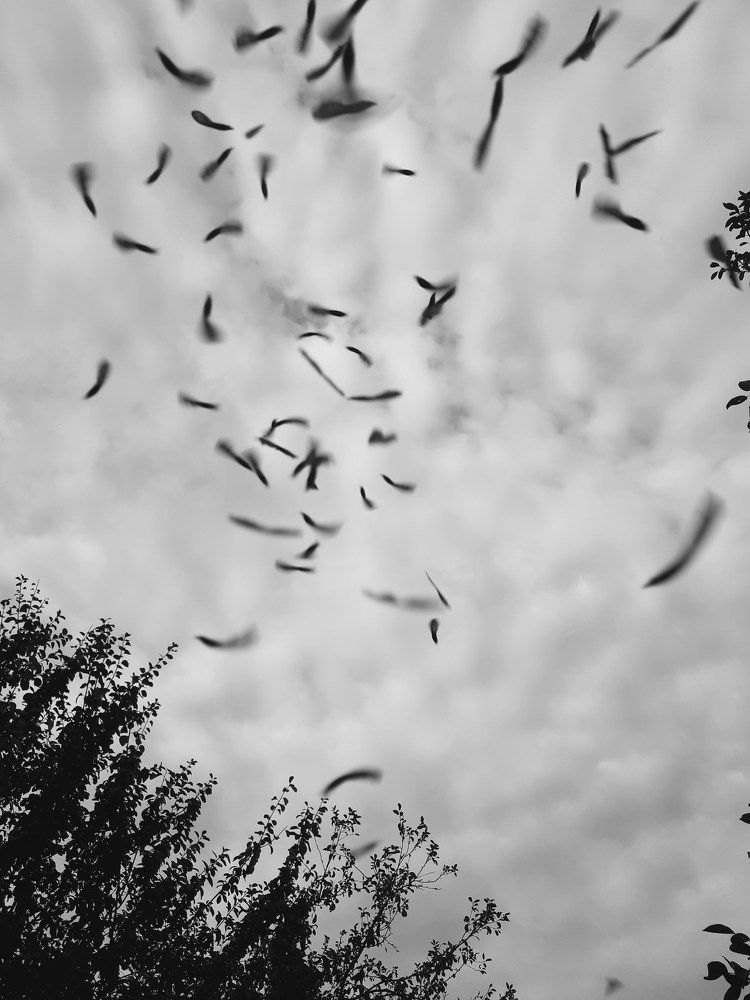 Photograph by Иван Стольников