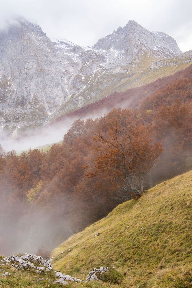 Photograph by giuseppe perrotta