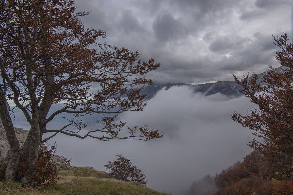 Photograph by giuseppe perrotta