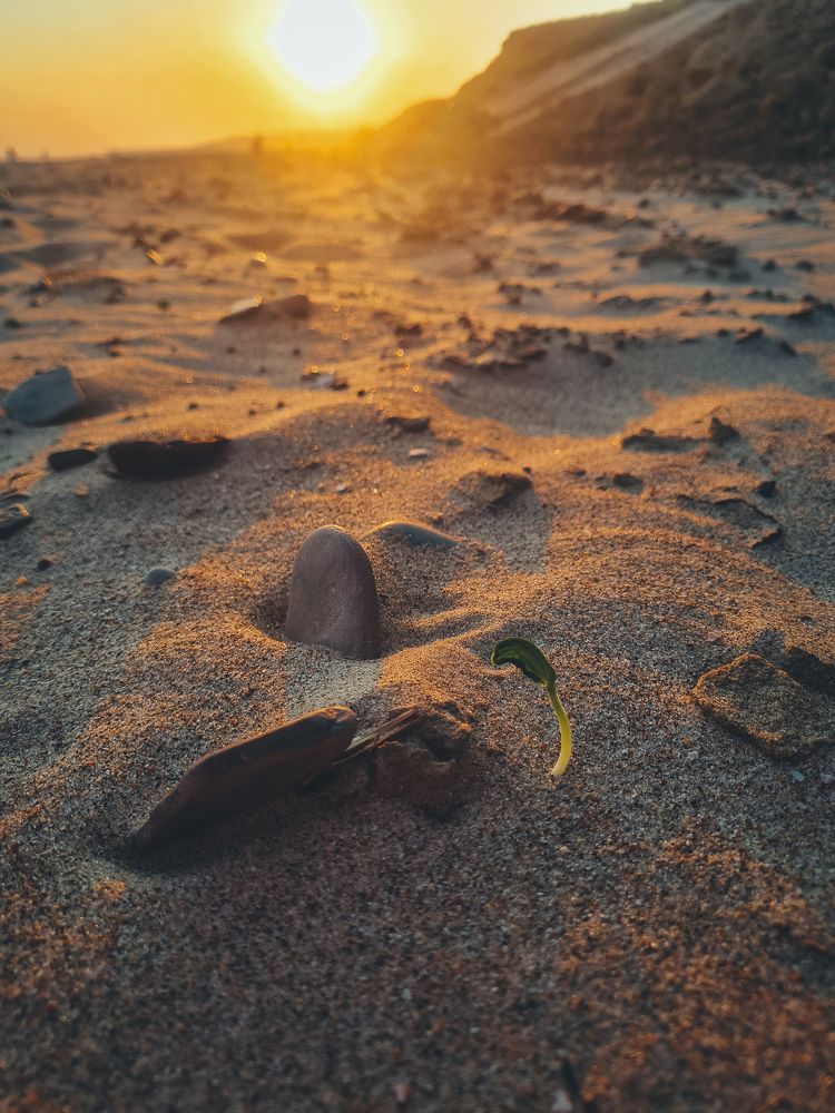 Photograph by Людмила Олеговна