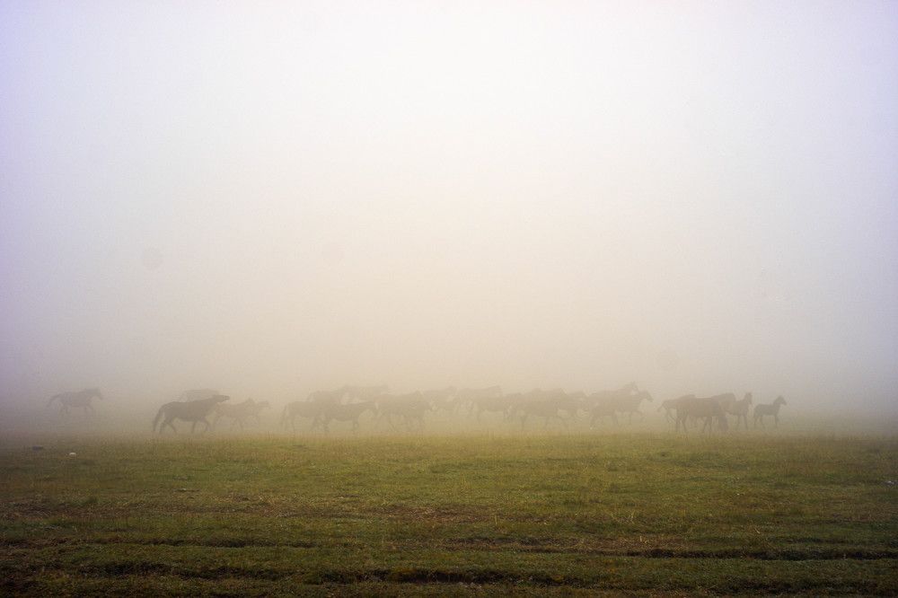Photo #6760584