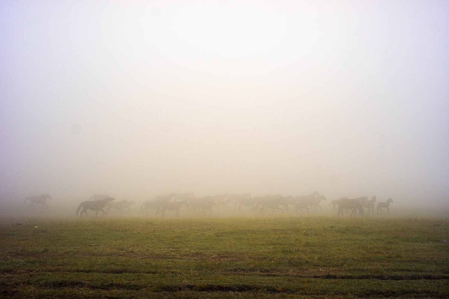 Photo #6760584