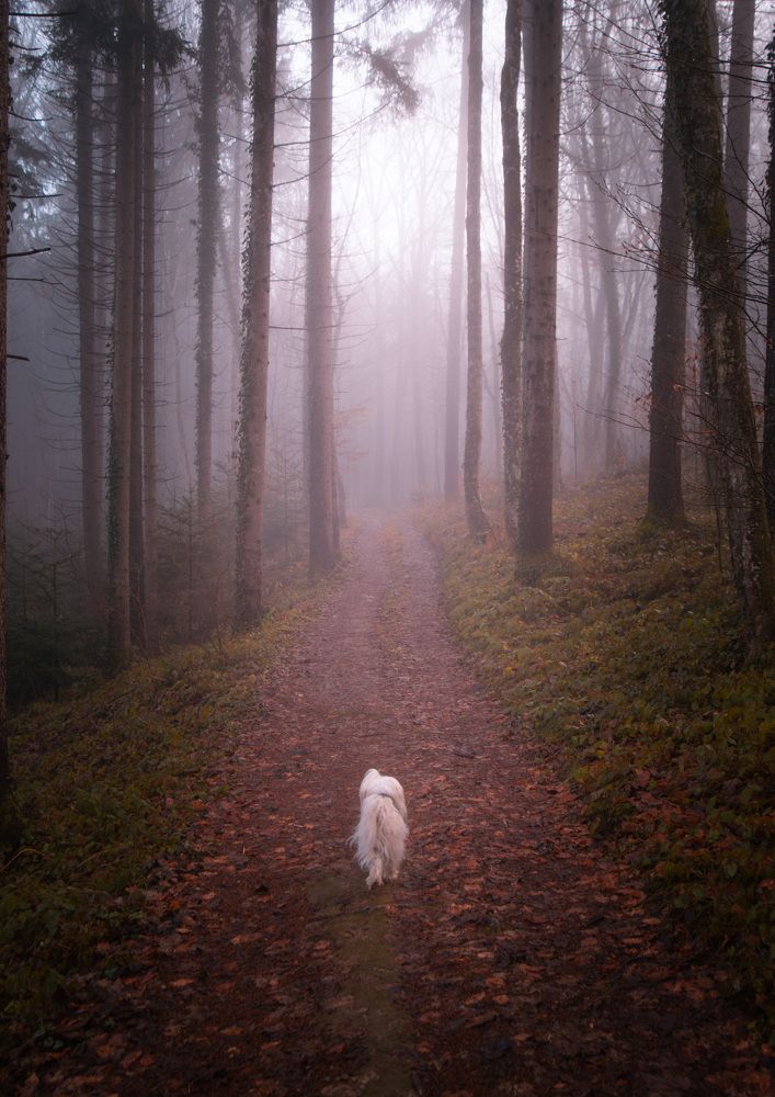 Photograph by Uroš Novina