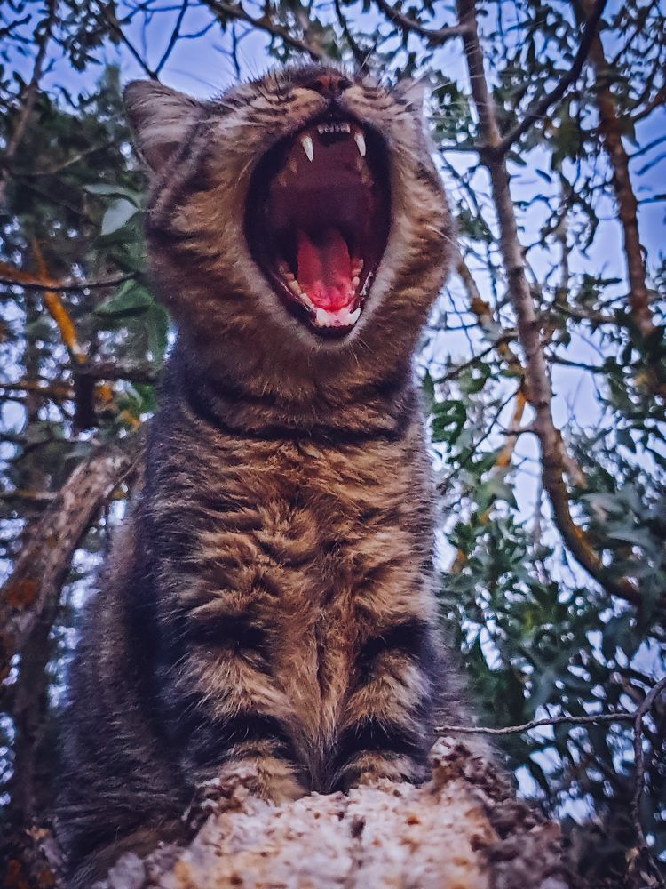 Photograph by Людмила Олеговна