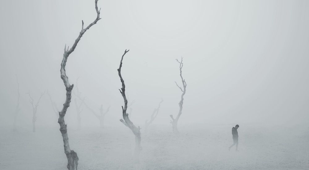 Фотография автора Alireza Bagheri sani