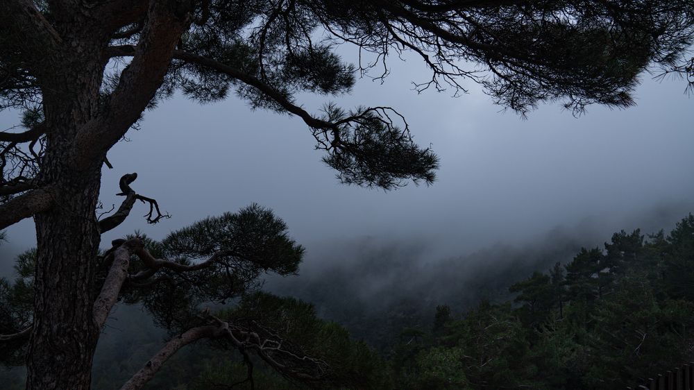 Photograph by Виктория Кузнецова