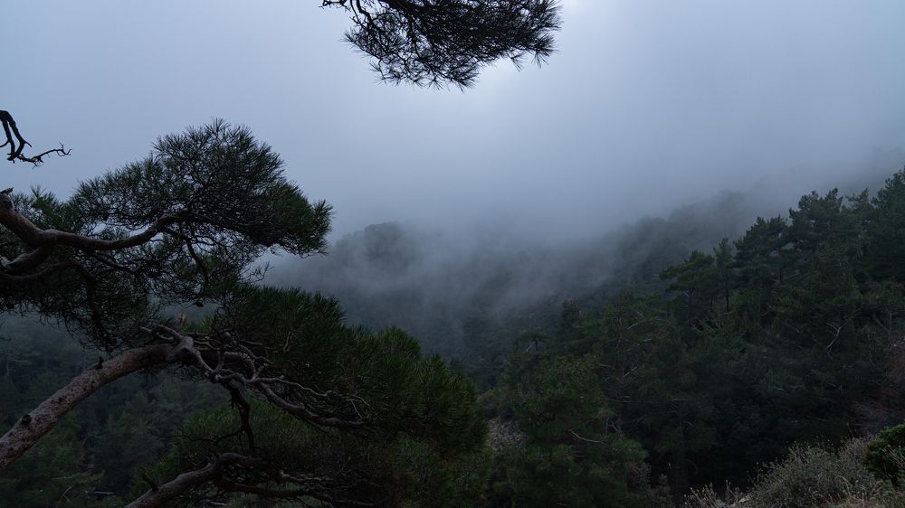 Photograph by Виктория Кузнецова