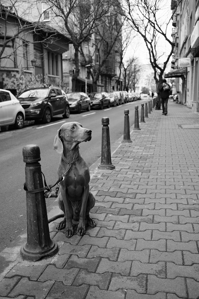 Photograph by Veska Saeva