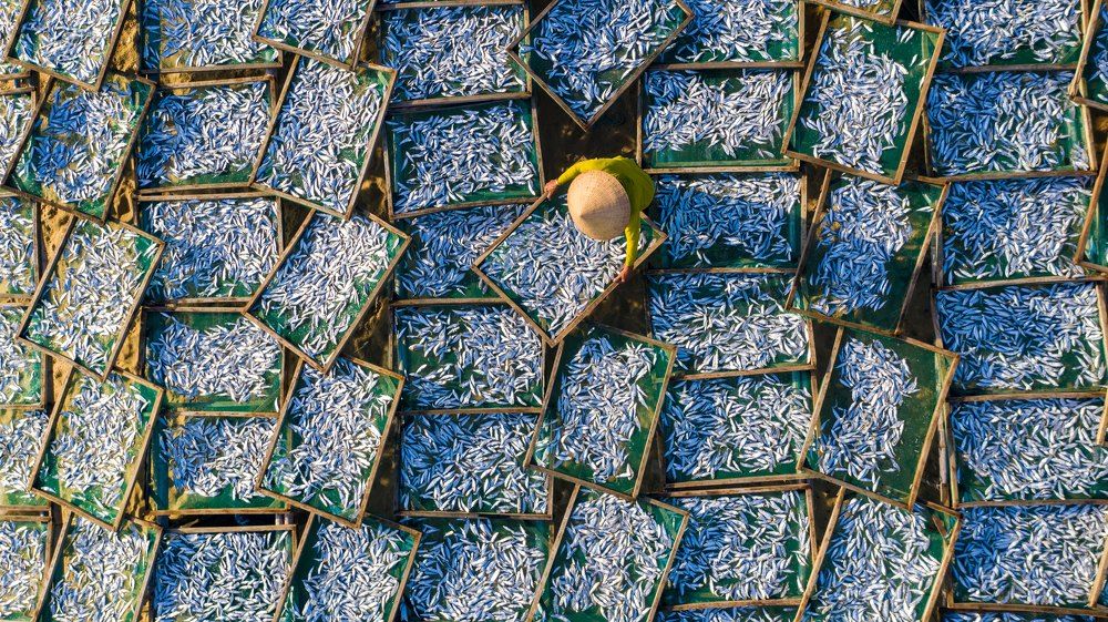 Photograph by Minh Tú Nguyễn