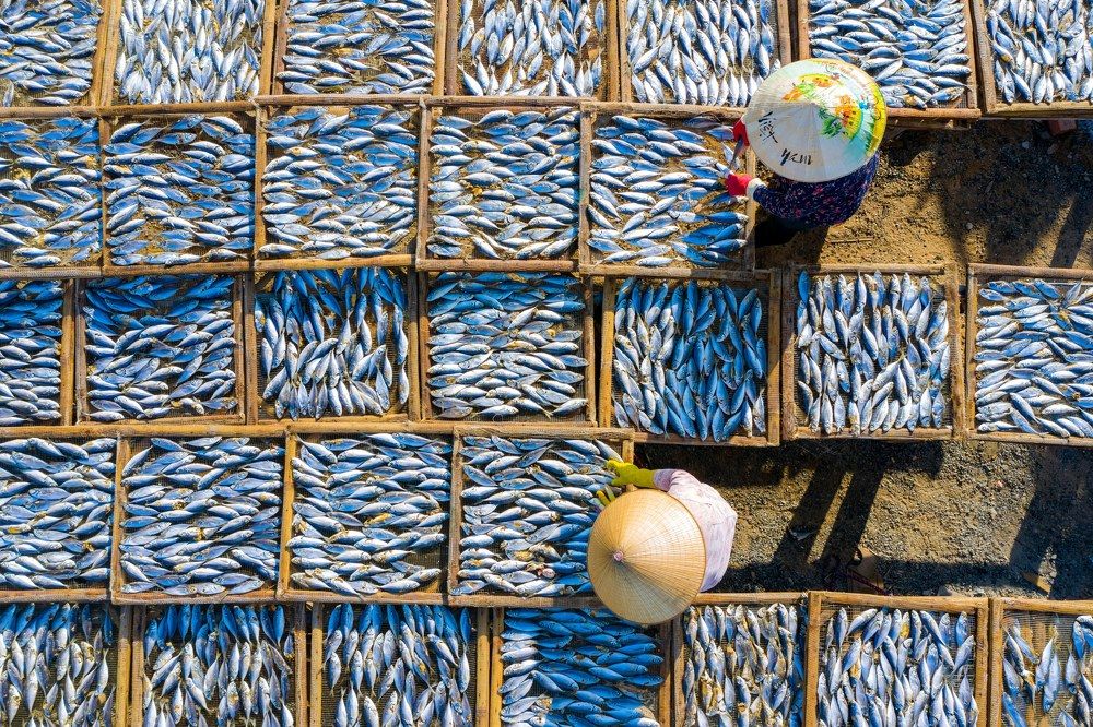 Photograph by Minh Tú Nguyễn