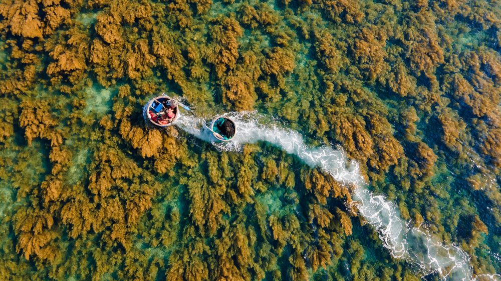 Photograph by Minh Tú Nguyễn