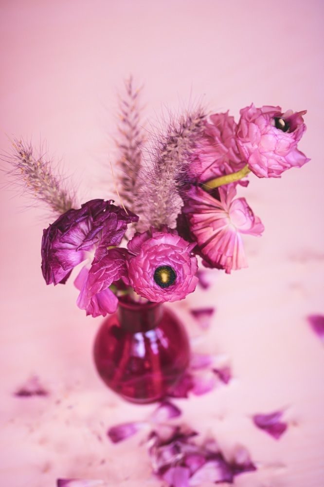 Photograph by Olga von Dahm