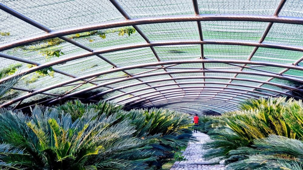 Photograph by Kamal Kishore Srivastava