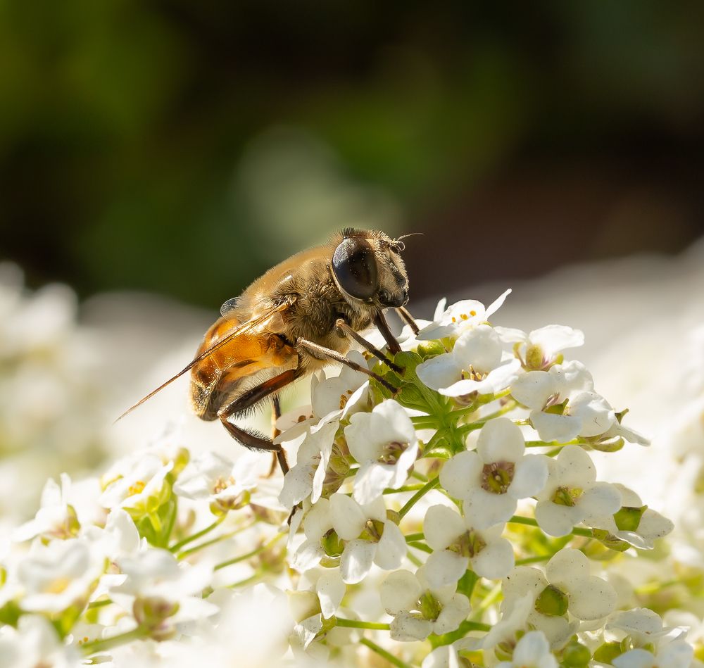 Photograph by Марина Новожилова