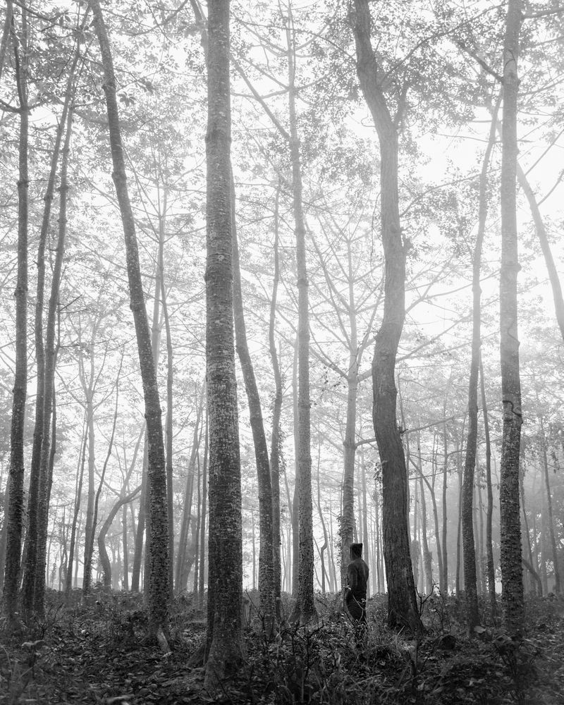 Photograph by Nishant Raj