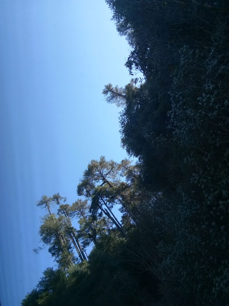 Photo #6761028