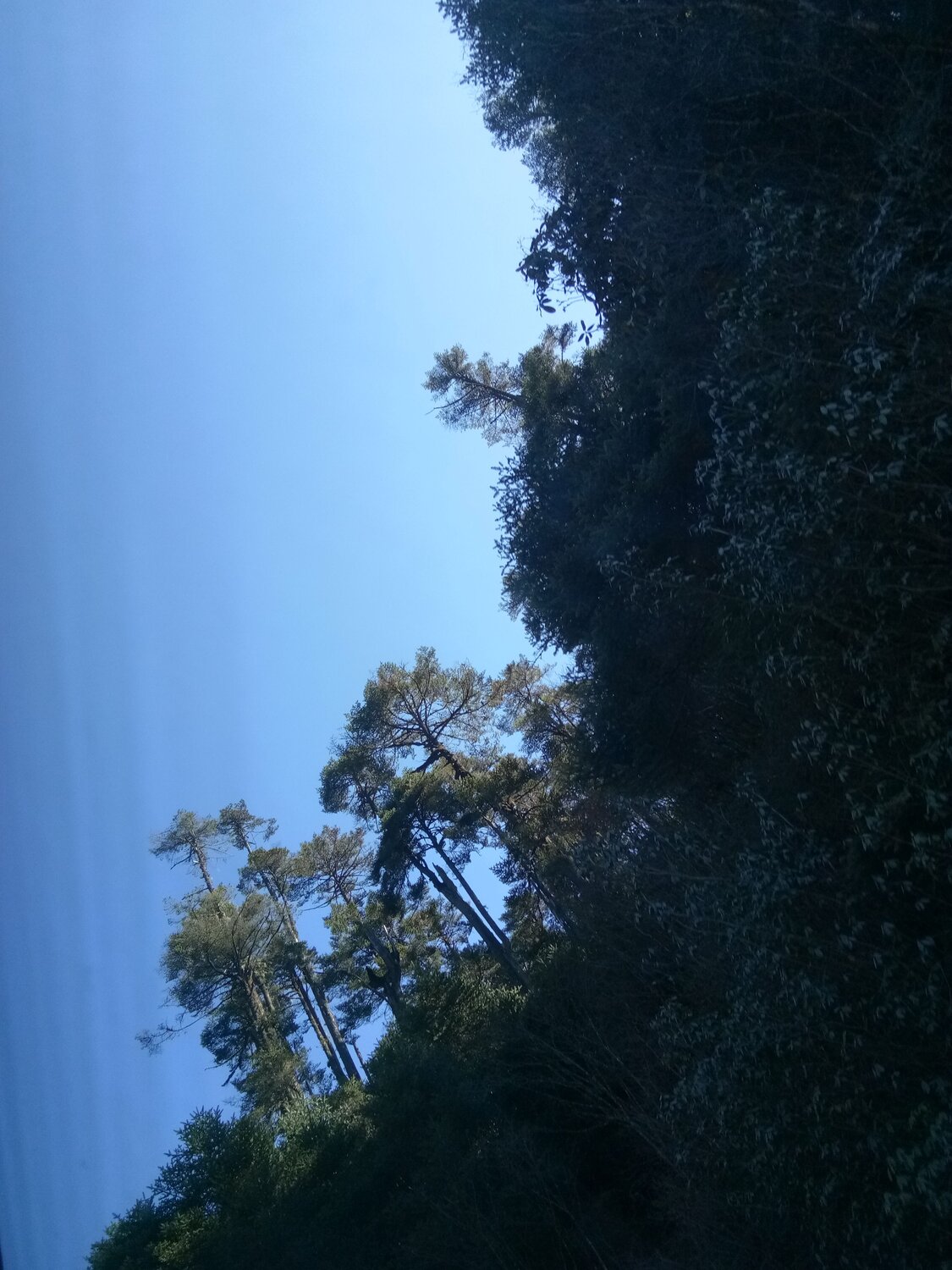Photo #6761028