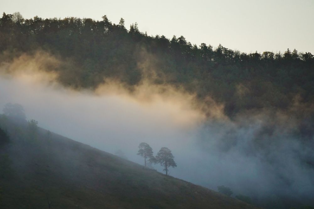 Photograph by Александр Попов