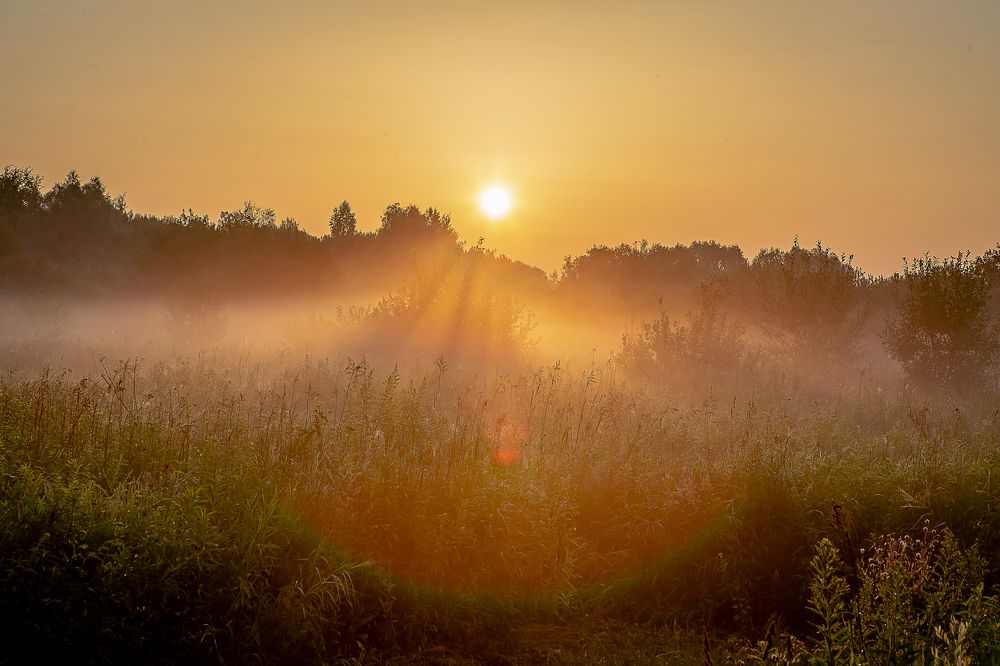 Photograph by Katja Sen