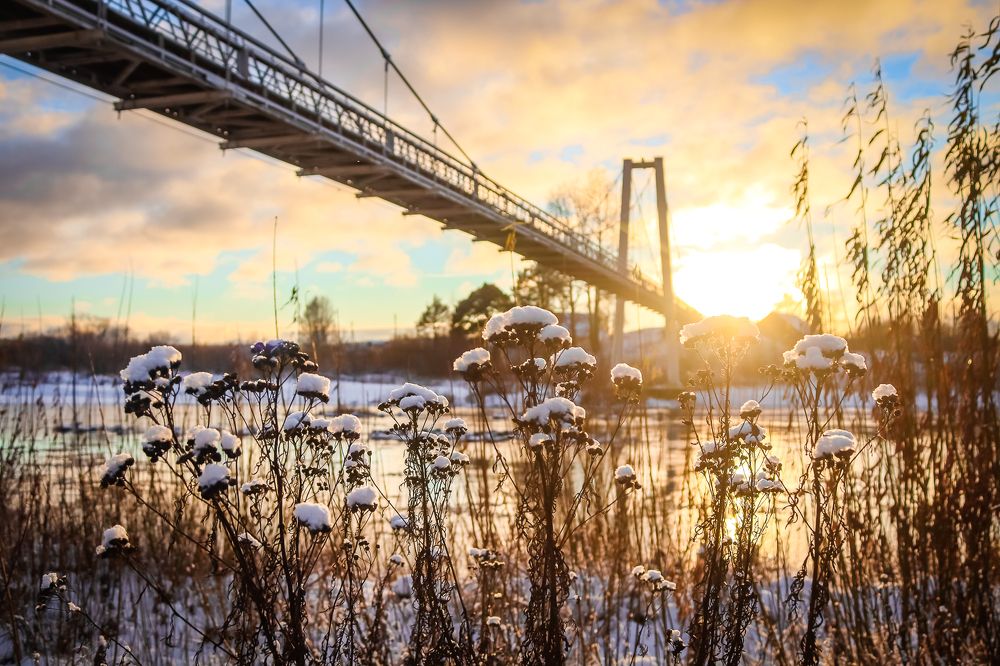 Photograph by Алёна Топорова