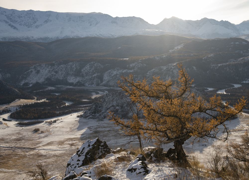 Photograph by Сергей Шерстнев