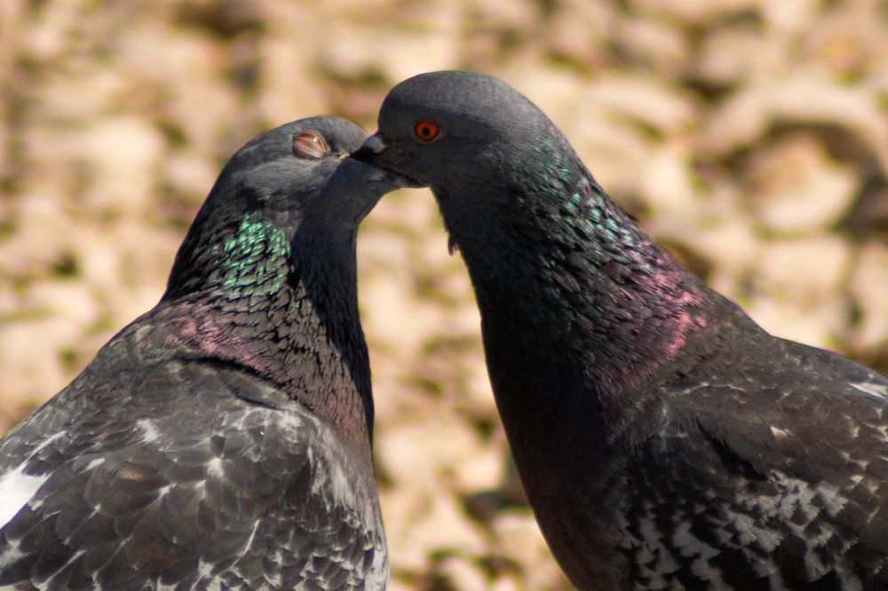 Photograph by Дима Захаров