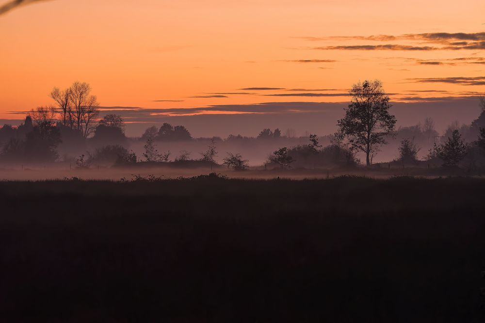 Photograph by Wendy Vanhoudt