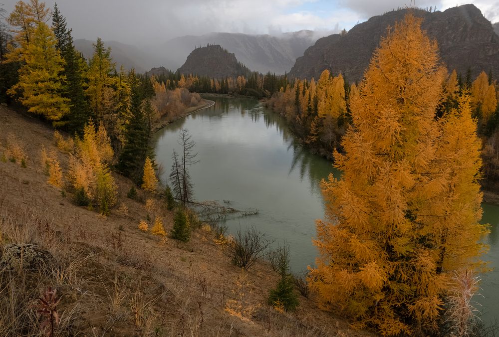 Photograph by Марина Фомина